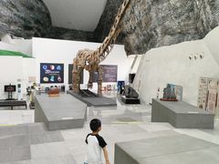 -中华赏石园
