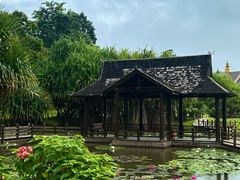 -中国科学院西双版纳热带植物园