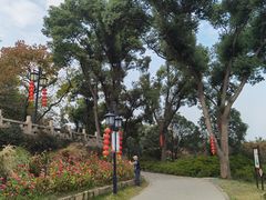 -苏州上方山国家森林公园