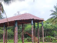 -海南热带野生动植物园