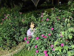 -人民公园(罗湖区)