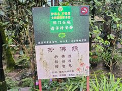 -寂照庵