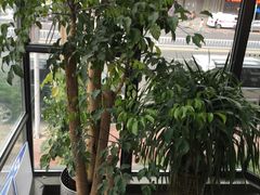 -完美生活炭火烤肉(二马路店)