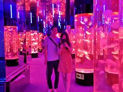 -成都浩海立方海洋公园