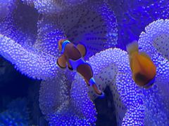 -左海海底世界