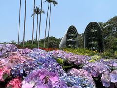 -广州市白云山风景名胜区