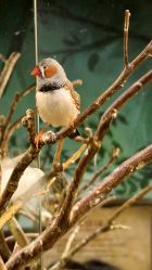 -Zoolung Zoolung动物主题公园(海信广场店)