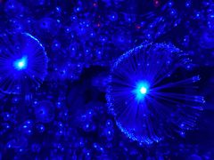 -杭州西湖星空魔幻城(星空艺术馆品牌旗舰店)