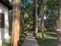 -上海醉白池公园