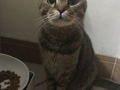 -美联众合动物医院·24h京西诊疗中心