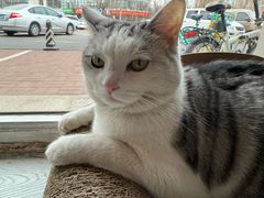 -青春加萌照相馆