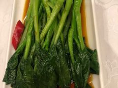 -天津津利华酒店