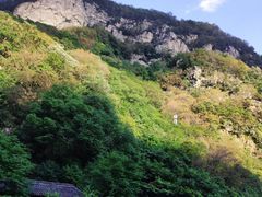 -牛背梁国家森林公园