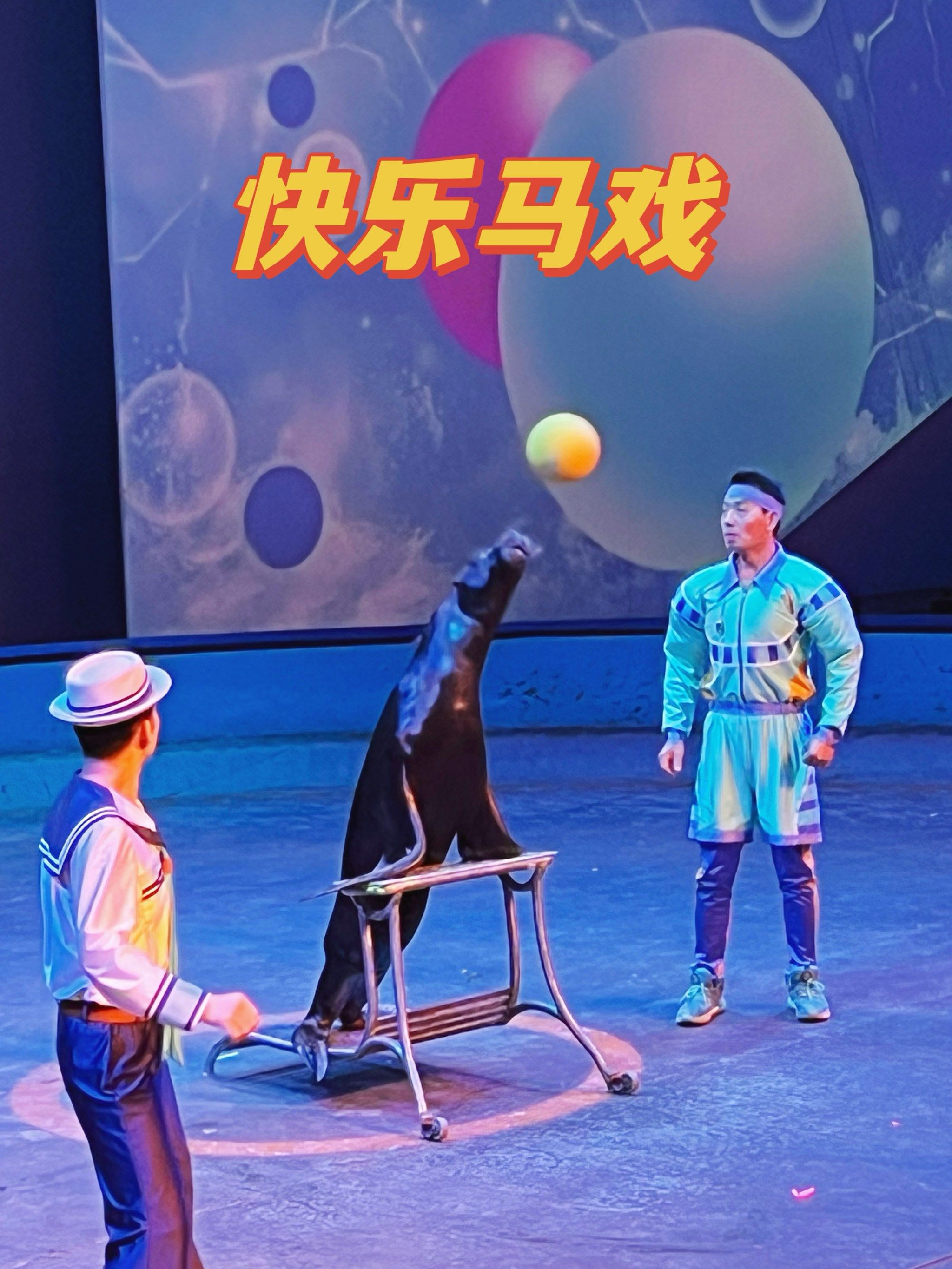 快乐马戏|来上海马戏城看一场和动物们贴近的马戏演出98