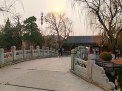 -博雅塔