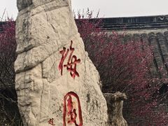 -梅园