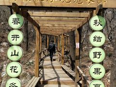 -大岭沟猕猴桃谷风景区