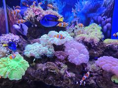 -多彩贵州城极地海洋世界