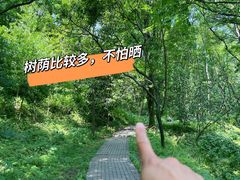 -老山国家森林公园