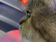 -极木²邸 人与宠物·互动社区