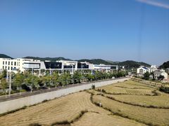 -岳阳东站