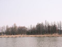 -宁波杭州湾国家湿地公园