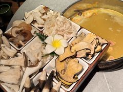 -花菇朵·云山雀 ll 野生菌火锅·精品云南菜(万柳店)