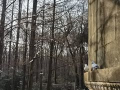-音乐台