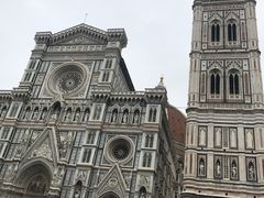 -圣母百花大教堂穹顶