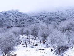 -太子岭滑雪场