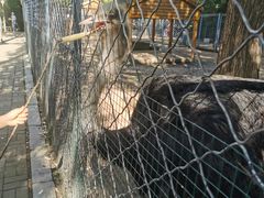 -长白岛森林公园