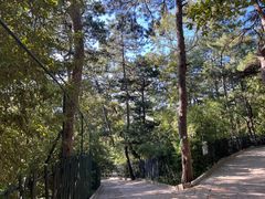 -红螺寺