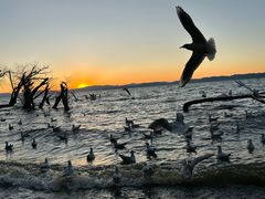 -捞渔河湿地公园