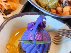 -奥兰多迪士尼动物王国乐园