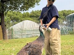 -苏州太湖西山岛开心农场