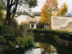 -黎阳老街