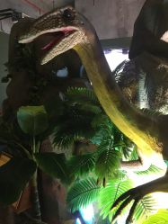 点击看大图 -恐龙探索乐园(磁器口店)