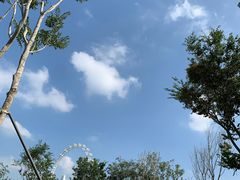 -宝安西湾红树林湿地公园