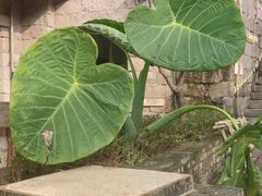 -重庆十八梯传统风貌区