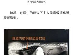 -瑞派申生动物医院·24H夜诊·国际动物医疗中心·骨外科(吴中路店)
