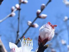 -白水寺森林公园