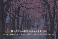 -凡碧诗毛孔清洁收细