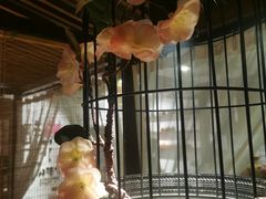 -繁·醉花亭小酒馆(鼓楼店)