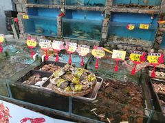 -花溪雨·森林餐厅(石基店)