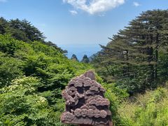 -黄山风景区