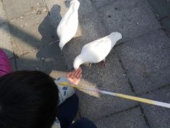 景点-南宫五洲植物乐园