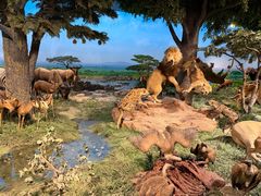 -国家自然博物馆