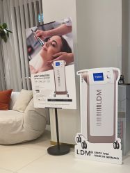 点击看大图 -WENDY·温迪皮肤管理