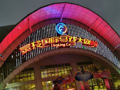 -灵玲国际马戏城