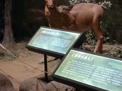 -孙子文化园